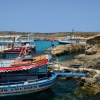 Zdjęcie z Malty - BLUE LAGOON-COMINO