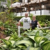 Zdjęcie z Tajlandii - W hotelowym atrium