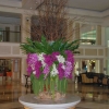 Zdjęcie z Tajlandii - Hotelowe lobby