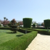 Zdjęcie z Izraelu - Sharm