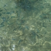 Zdjęcie z Izraelu - Sharm