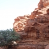 Zdjęcie z Izraelu - Wadi Rum