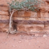 Zdjęcie z Izraelu - Wadi Rum