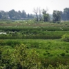 Zdjęcie z Polski - Bagno Bubnów.