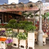 Zdjęcie z Holandii - AMSTERDAM