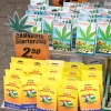 Zdjęcie z Holandii - AMSTERDAM