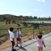 Zdjęcie z Polski - dolina dinozaurów