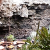 Zdjęcie z Hiszpanii - Jameos del Aqua