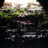 Zdjęcie z Hiszpanii - Jameos del Aqua