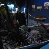 C. Teguise - Aquarium