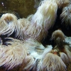 Zdjęcie z Hiszpanii - C. Teguise - Aquarium