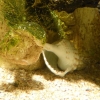 Zdjęcie z Hiszpanii - C. Teguise - Aquarium