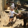 Zdjęcie ze Sri Lanki - 