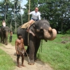 Zdjęcie ze Sri Lanki - 