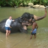 Zdjęcie ze Sri Lanki - 