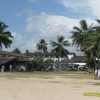 Zdjęcie ze Sri Lanki - 