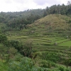 Zdjęcie z Indonezji - Bali