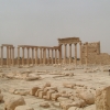 Zdjęcie z Syrii - Palmira