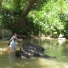 Zdjęcie ze Sri Lanki - 