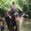 Zdjęcie ze Sri Lanki - 