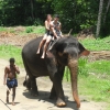Zdjęcie ze Sri Lanki - 