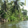 Zdjęcie ze Sri Lanki - 