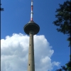 Zdjęcie z Litwy - 