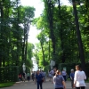 Zdjęcie z Rosji - Ogród Letni