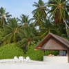 Zdjęcie z Malediw - 