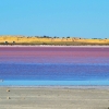 Zdjęcie z Australii - Slone jezioro Pink Lake