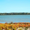 Zdjęcie z Australii - Coorong National Park