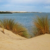 Zdjęcie z Australii - Wydmy Coorong