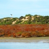 Zdjęcie z Australii - Coorong National Park