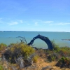 Zdjęcie z Australii - Coorong National Park