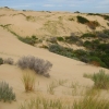 Zdjęcie z Australii - Wydmy Coorong