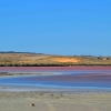 Zdjęcie z Australii - Pink Lake