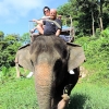 Zdjęcie z Tajlandii - Elephant Trekking