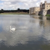 Zdjęcie z Wielkiej Brytanii - Leeds Castle