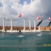 Zdjęcie z Turcji - delfinarium