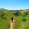 Zdjęcie z Australii - Field River Valley