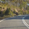 Zdjęcie z Australii - Nie wolno ignorowac