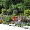 Zdjęcie z Niemiec - Mainau