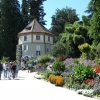 Zdjęcie z Niemiec - Mainau