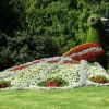 Zdjęcie z Niemiec - Mainau