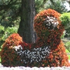 Zdjęcie z Niemiec - Mainau