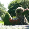 Zdjęcie z Niemiec - Mainau