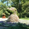 Zdjęcie z Niemiec - Mainau