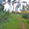 Zdjęcie z Australii - Szlak Sundews Ridge Hike