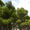 Chorwacja