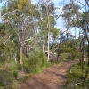 Zdjęcie z Australii - Szlak Echidna Trail